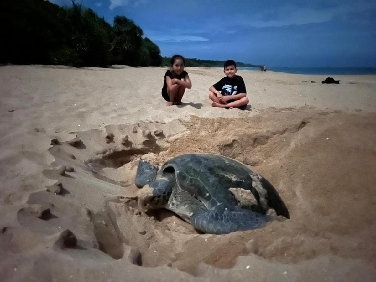 Ananthaya Beach Tangalle Eksteriør billede